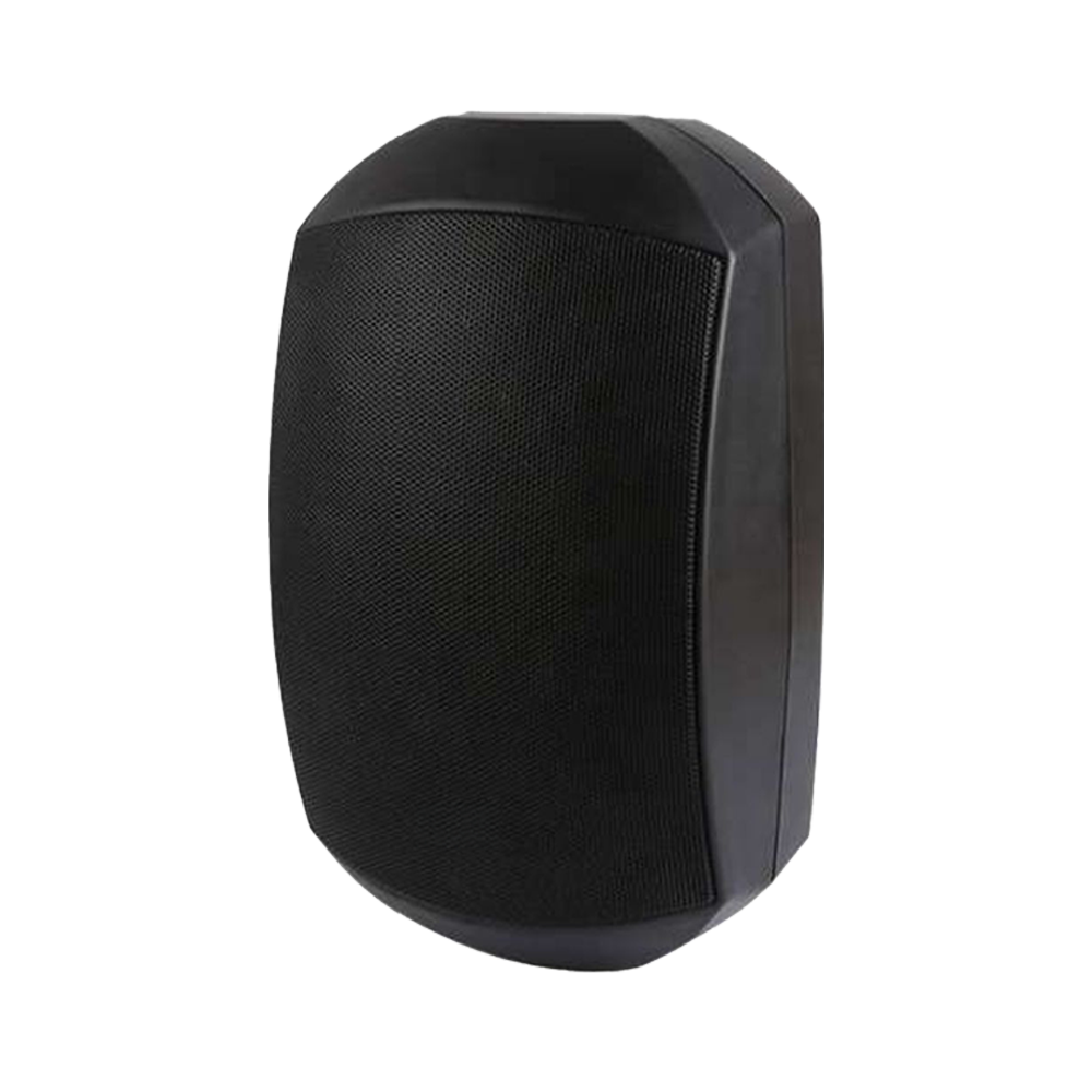 2-Way Indoor Outdoor Wall Mount Speaker TM-640DSW