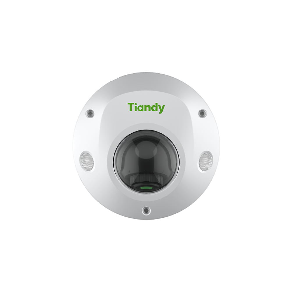 2MP Mini Dome Camera (TC-C32PS I3/E/Y/M/H/2.8mm(4mm)/V4.2)