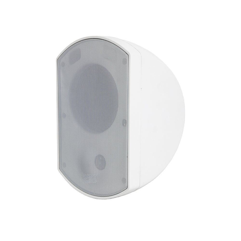 5.25″ 2-Way Wall Mount Speaker TM-R30WW