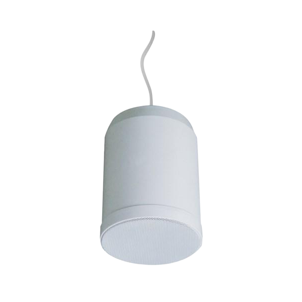 Pendant Speaker TM-20PSP