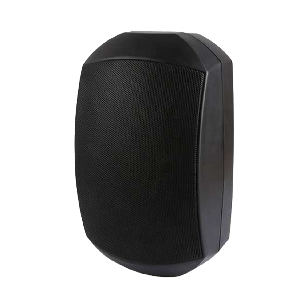 4″ 2-Way Indoor Outdoor Wall Mount Speaker | TM-420DSW